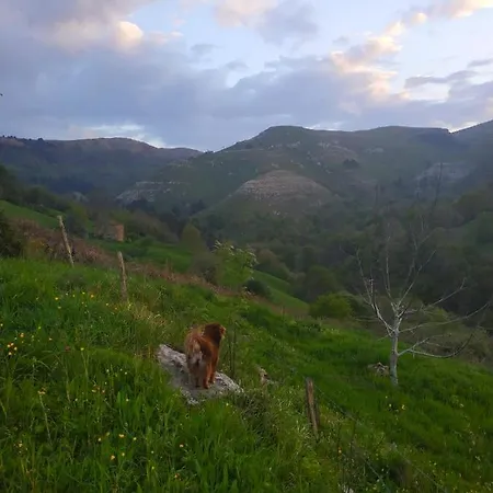 En Plena Naturaleza *