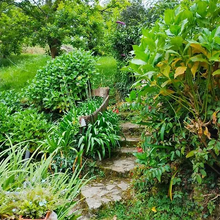 En Plena Naturaleza *