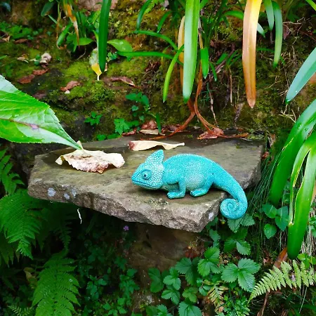 En Plena Naturaleza La Cavada