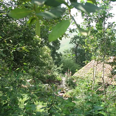 En Plena Naturaleza Apartman La Cavada