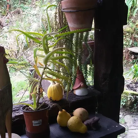 En Plena Naturaleza Apartman La Cavada