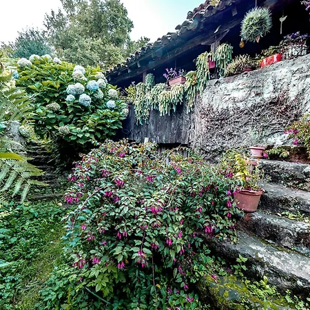 En Plena Naturaleza *