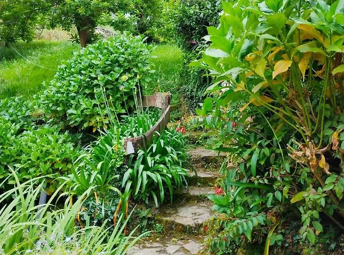 En Plena Naturaleza *