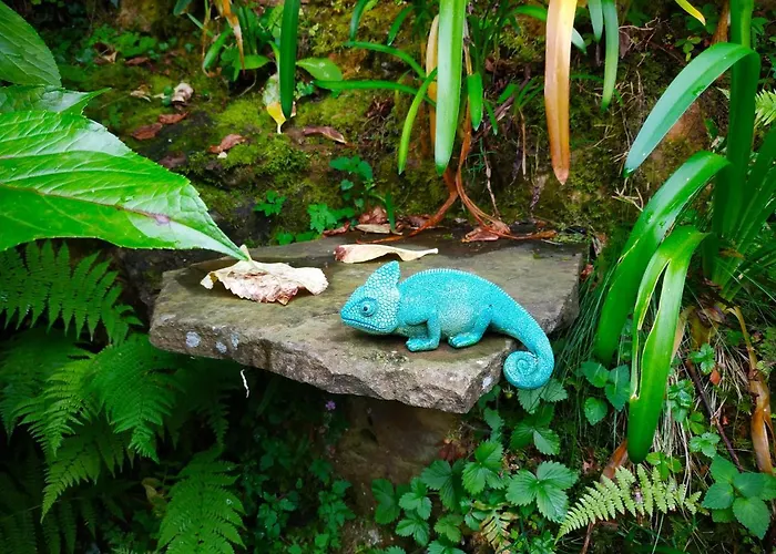 En Plena Naturaleza La Cavada