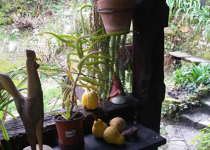 En Plena Naturaleza Apartmán La Cavada